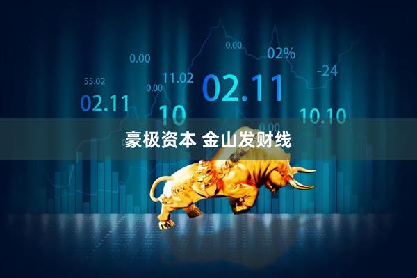 豪极资本 金山发财线