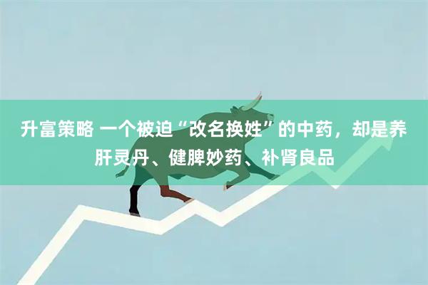 升富策略 一个被迫“改名换姓”的中药，却是养肝灵丹、健脾妙药、补肾良品